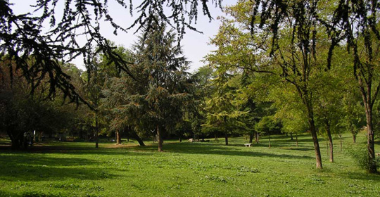 Villa Veschi Villa Veschi