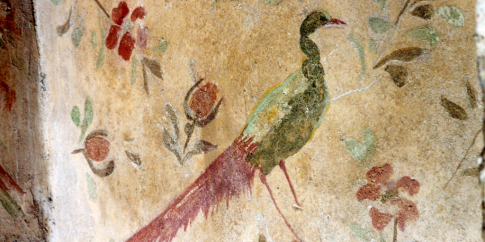 colombario III affresco colombario III affresco