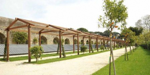 GIARDINO DEI CEDRATI GIARDINO DEI CEDRATI