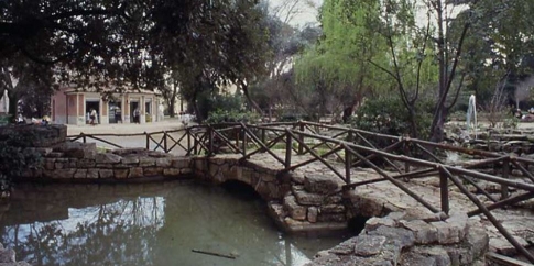 Parco Nemorense, il laghetto Parco Nemorense, il laghetto