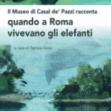 Il Museo di Casal de’ Pazzi racconta: Quando a Roma vivevano gli elefanti Il Museo di Casal de’ Pazzi racconta: Quando a Roma vivevano gli elefanti