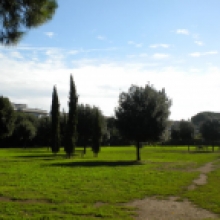 Villa Flora, panoramica parco