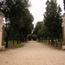 Foto del parco dei daini Foto del parco dei daini