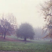 Foto della valle dei platani Foto della valle dei platani