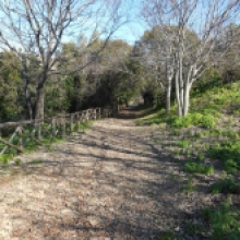 Monte Testaccio Monte Testaccio